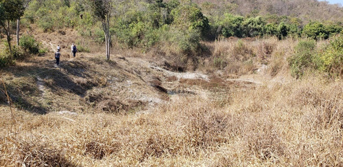 Imagem 9 de 9 de Fazenda - 15 Km De Bom Despacho - Ref: 4347 - V-4347