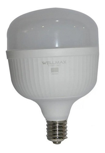 Bombillo Led  Bulbo T-120 40w E27 6500k 100/240v Wellmax