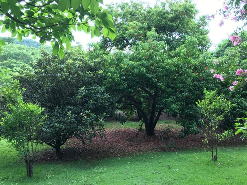 Chácara A Venda Em Valinhos, Morro Das Pedras - Ch0172