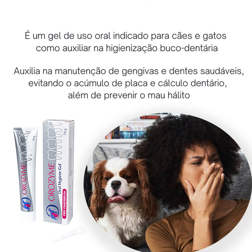 Pasta Orozyme 70g - Inovet Sabor Agradável