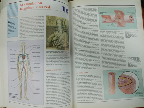Imagen 5 de 6 de Atlas De Anatomia * El Cuerpo Y La Salud *