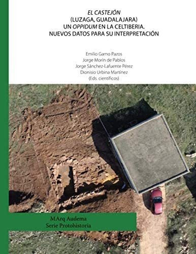 Libro: El Castejón (luzaga, Guadalajara) Un Oppidum Cel&..