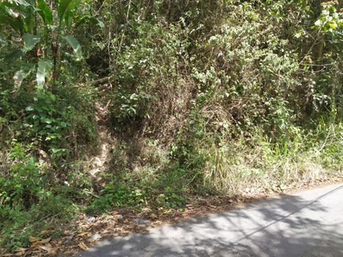 Imagen 7 de 8 de Venta De Terreno En Potrerito, San Antonio De Los Altos/ Zaida Herrera 04241170010