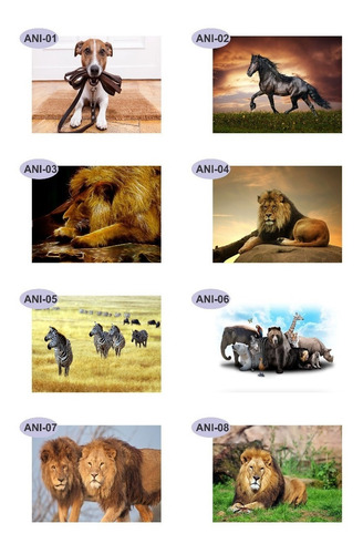 Imagem 7 de 10 de Papel Parede Adesivo Pet Cachorro Gato 2,30 Larg X 1,60 Alt