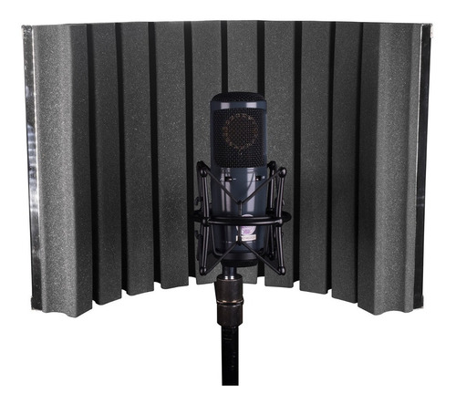 Painel Difusor Acústico Para Microfone Skp Rf-30 Studio Cor Prateado