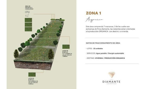Imagen 27 de 30 de Terreno - Goudge