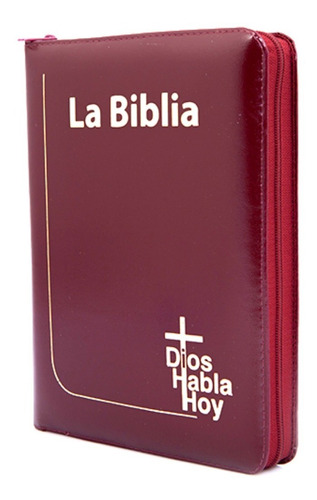 Sagrada Biblia Católica Letra Gigante Dios Habla Hoy Dhh
