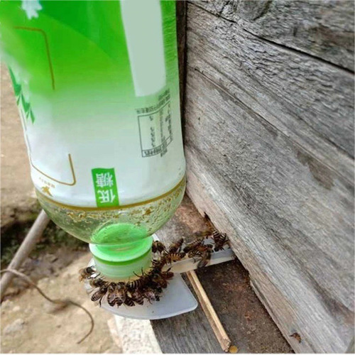 3 Un Alimentador Para Abelhas Tipo Externo Para Garrafas Pet