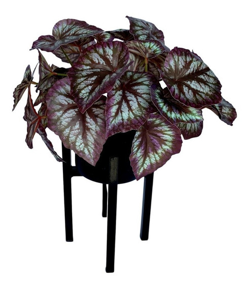 Flor Begonia Artificial | MercadoLivre 📦