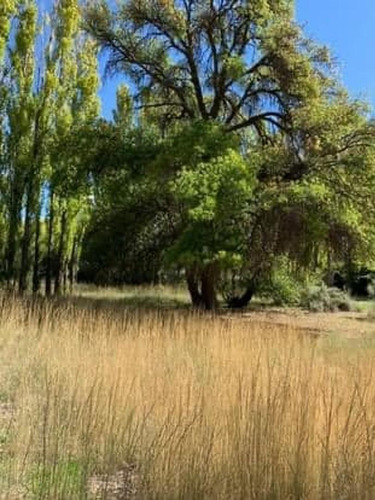 Imagen 8 de 8 de Excelente Lote De 1683.79, Rawson, Chubut
