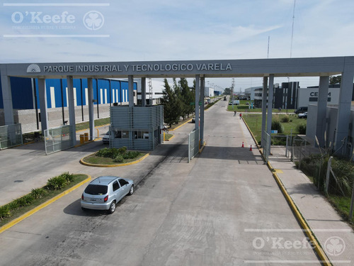 Lote 5500m2 En Venta - Pitec - Parque Industrial - Florencio Varela