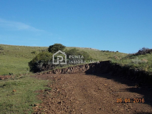 Imagen 22 de 30 de Venta Chacra 96has En Minas, Lavalleja