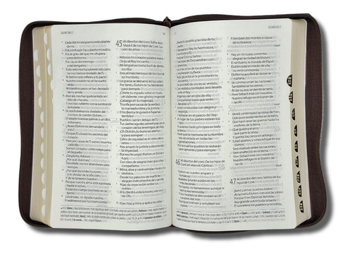 Imagen 6 de 8 de Biblia Textual Iv Edición Imit. Piel Negro Cierre E Indices