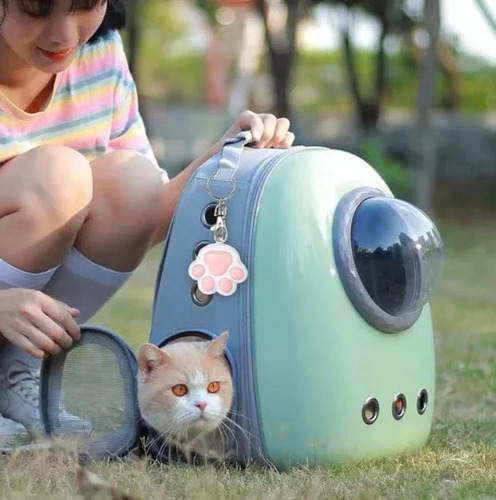 Laser Interactivo Con Puntero De Luz Led Juguete Para Gato