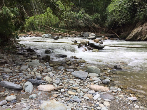 Imagen 2 de 8 de Finca Venta Genova Quindio