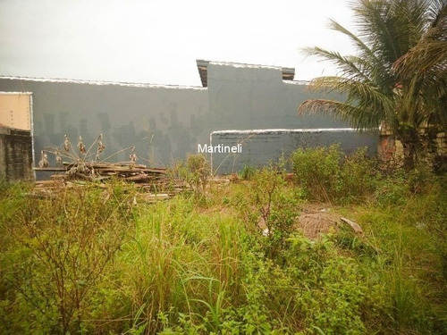 Imagem 7 de 7 de Terreno - Te00008 - 70477405