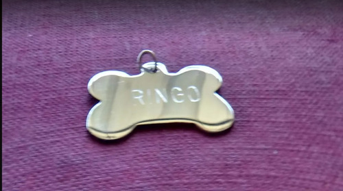 Placa Chapa De Lujo Para Mascota, Perro Identificación 