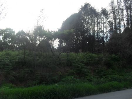 Imagem 2 de 10 de Venda Residential / Land Lot Serra Da Cantareira Mairiporã - 1437