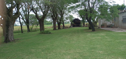 Campo En Venta En Saladillo