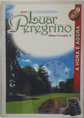 Livro Série Luar Peregrino 9 - A Hora É Agora - Wilson Frungilo Jr. - Editora Ide (Usado)