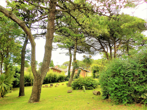 Gran Terreno 748m2 Parquizado Y Arbolado