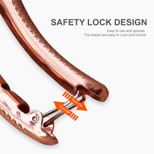 Imagen 7 de 9 de Tijeras De Podar De Acero Con Asas Ergonómicas