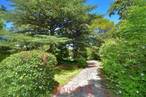 Imagen 8 de 30 de Chalet S/av. Dos Venados Sobre Lote 5801 M2. Excelente Prop.