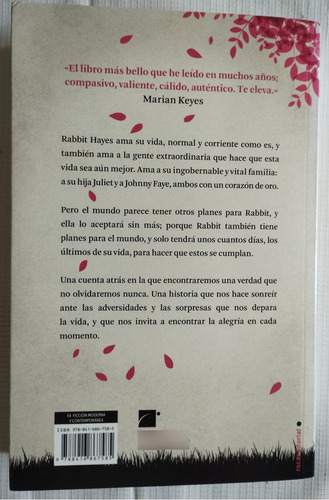 Los Últimos Días De Rabbit Hayes Anna Mcpartlin Libro P (Usado)