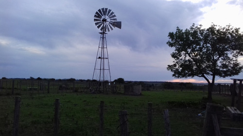 828 Ha Salto Fruticola Ganadero/ Agric Casco Luz Costas Río
