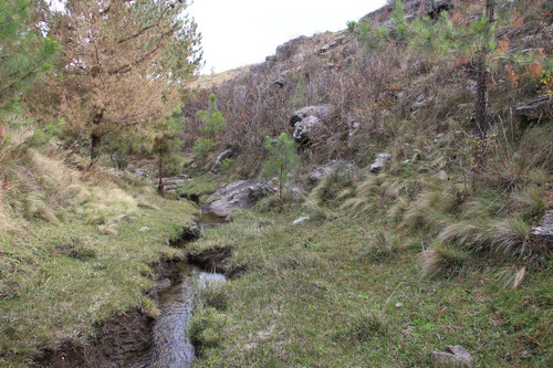 Venta De Campo En Yacanto De Calamuchita. Con Arroyos Permanentes