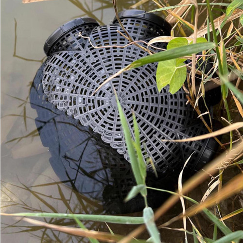Cangrejo Catching Net Accesorios De Pesca Canasta 5 Agujeros