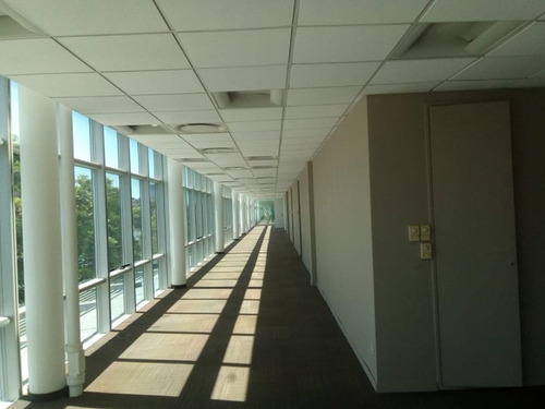 Imagen 10 de 15 de Alquiler | Olga Cosettini 1545, Puerto Madero | 349,6 M²