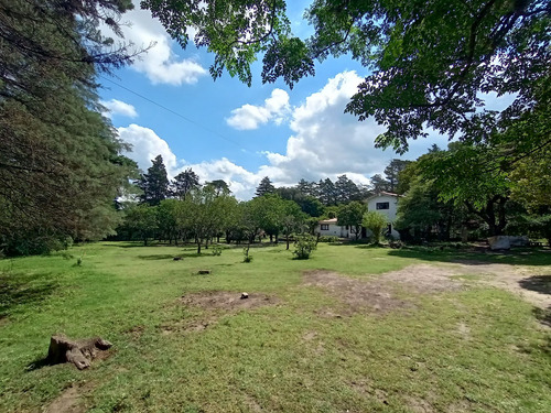Casa Vendo Villa Giardino 4 Dor 7180 M2 Terreno