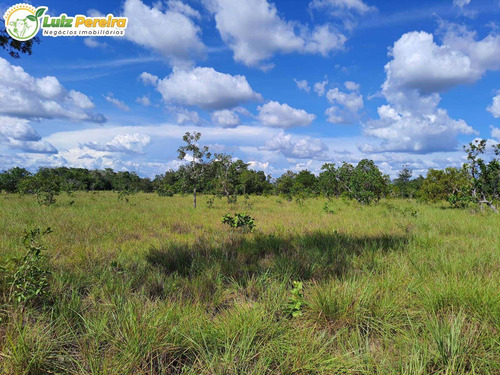 Imagem 5 de 10 de Fazenda À Venda Em Colinas - To - 498,53 Hectares (dupla Aptidão) - 2137