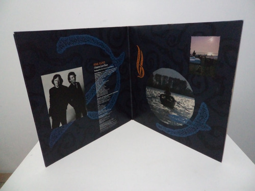 Lp Pink Floyd - A Momentary Lapse Of Reason - Irland (Usado)