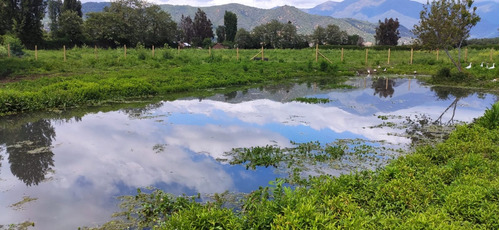 Terreno En Agua Buen