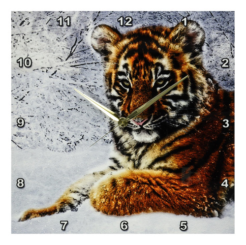 3drose Dpp_173002_2 Baby Tiger Cub In The Snow Digital Compo