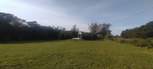 Quinta En Venta En Mar Del Plata