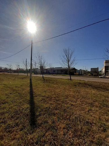 Imagen 6 de 12 de Terreno En Venta, Barrio Las Moras, Ricardone