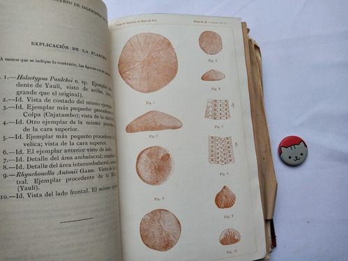 Libro Cuerpo De Ingenieros De Minas Del Perú No 25 Mf 120e9 (Usado)