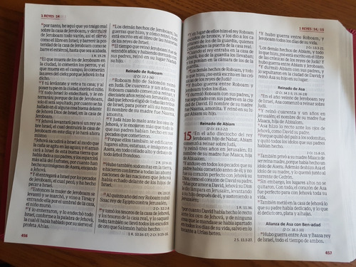 Biblia Letra Gigante Reina Valera 1960 Concordancia
