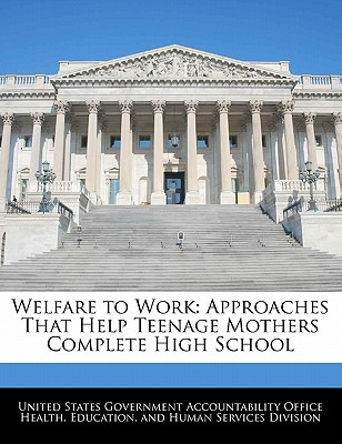 Libro Welfare To Work: Approaches That Help Teenage Mothe...