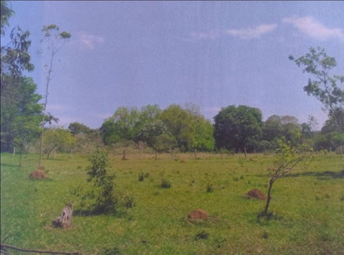 Imagem 5 de 8 de Terreno Amplo - Te2103
