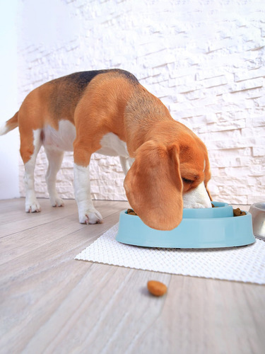 Plato Comida Alimentación Lenta Para Perro Gato Comederos