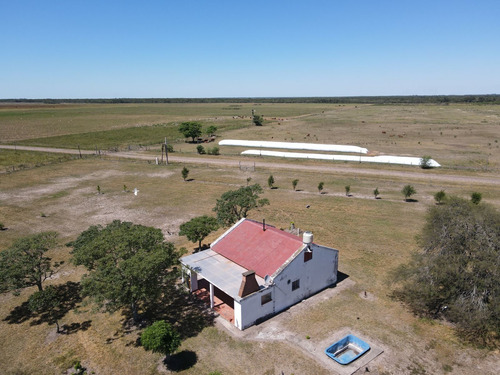 Imagen 29 de 30 de Campo Ganadero 3220 Ha - ( 420 Agrícolas ) Reconquista - Prov. De Santa Fe