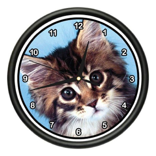 Signmission Beagle Maine Coon Gatito Reloj De Pared Gatos Pr