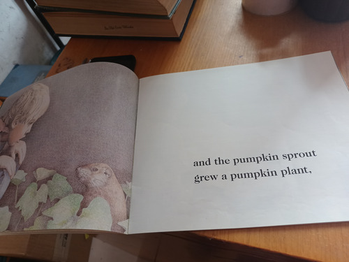 Pumpkin Pumpkin - Jeanne Titherington (Usado)