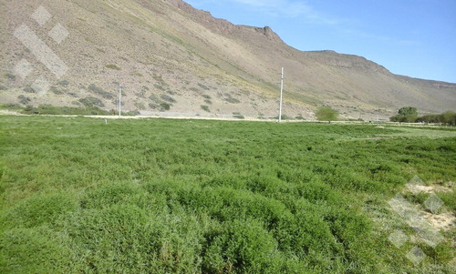 Venta De Estancia En Ruta Provincial 21, Kilómetro 31, Departamento Picunches, Paraje Huarenchenque