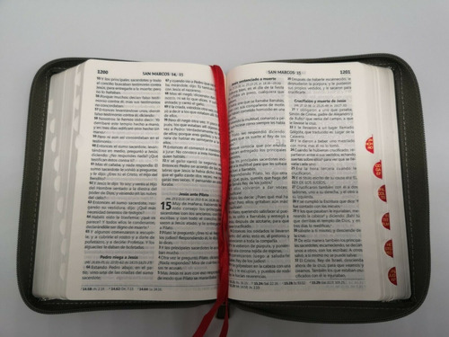  Biblia Rvr1960 Compacta /cierre Gris Con Flores