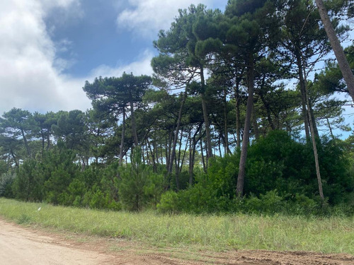 Lote En Venta Zona Alamos- Pinamar (deriva E/ Alamos Y De Las Garzas)
